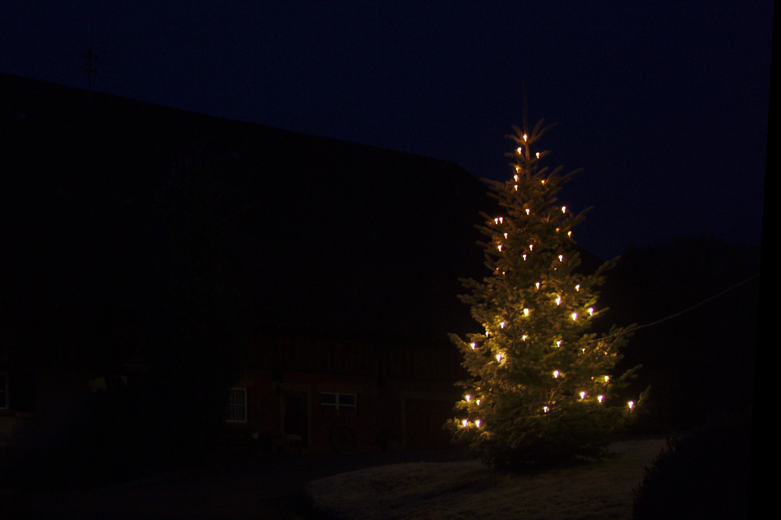 Lighted Christmas tree C.Engelhardt2016