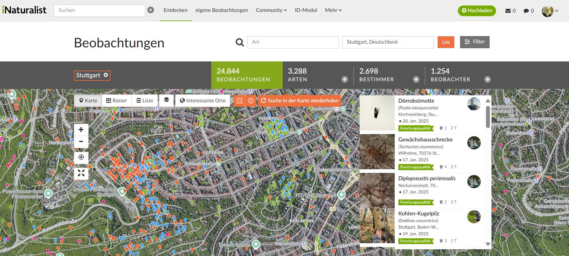 Screenshot Datenauswertung iNaturalist