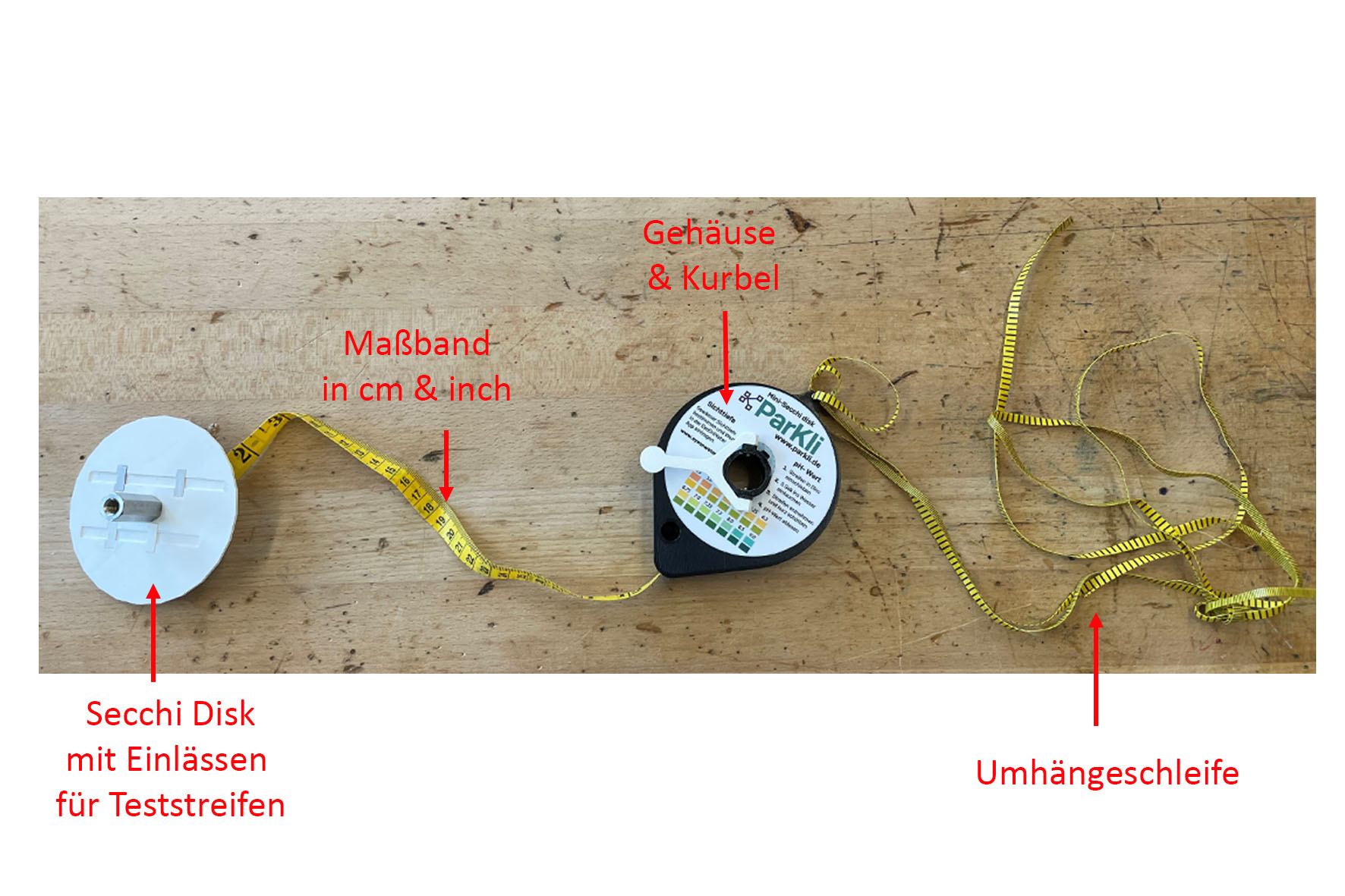 Bestandteile der Secchi-Disk in ParKli