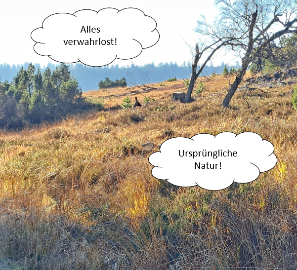 Teaser Bild-Nationalpark